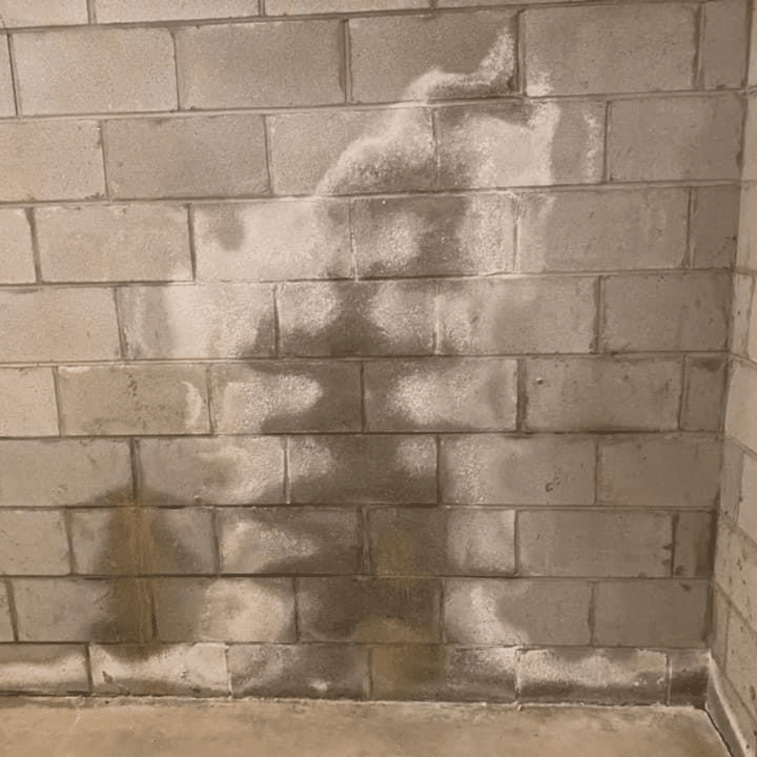 basement wall water leakage